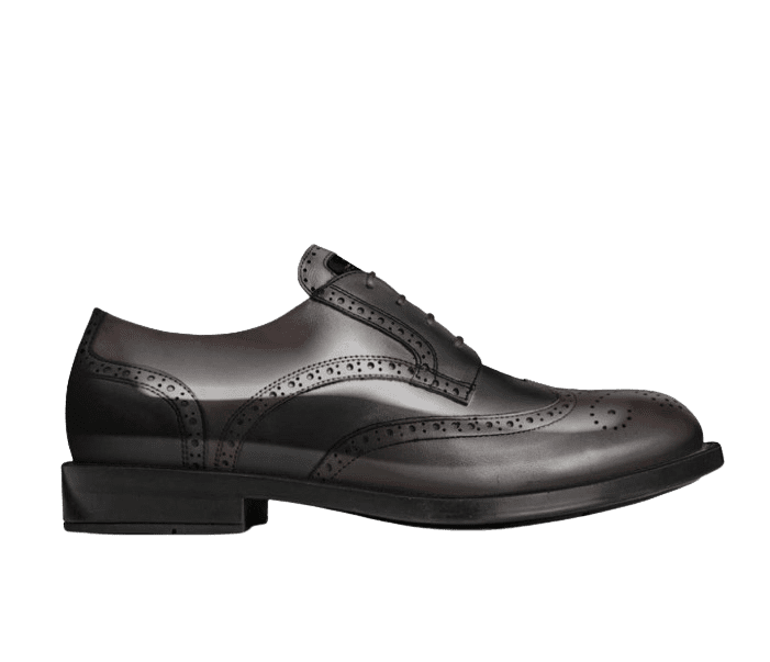 Elegant leather dress shoe with bold, two-tone style.